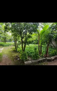 کار در گاوداری وخانه برای زندگی