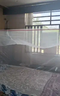 پشه بند