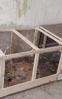 قفس پرنده