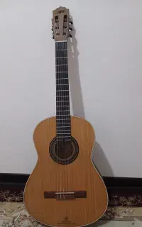گیتار وفائی مدل mv4