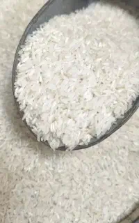 برنج تایلندی