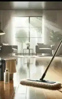 نظافتی کاملا حرفه ای