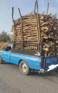 خرید و برش چوب به بالاترین قیمت