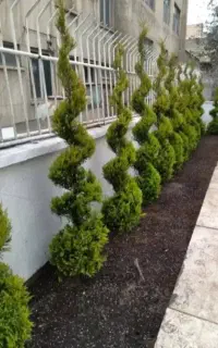 خدمات باغبانی فضای سبز  طراحی و محوطه سازی