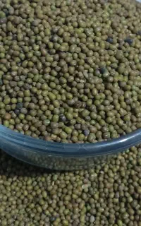 حبوبات زیر قیمت بازار