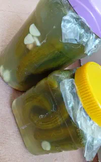 خیارشور خوش طعم و تازه تازه خانگی