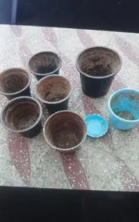 فروش گلدان