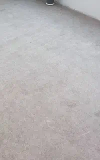 موکت تروتمیز