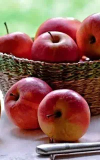فروش ۱۵ لیتر سرکه سیب دو ساله