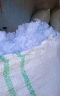 لایکو