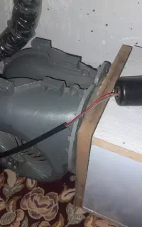 باگس ماینر