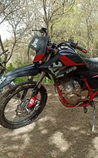 متور تریل کویر 250 t2