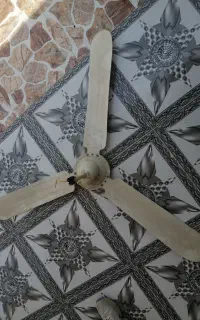 پنکه سقفی در سیراف