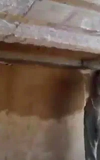نیازمند اکیپ گچکاری