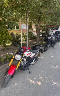 Xsr155
