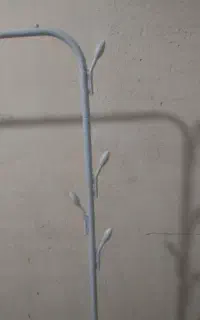 رگال لباس