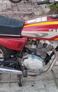 بوشهر
