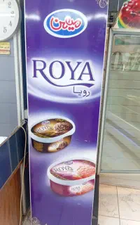 فریزر ایستاده
