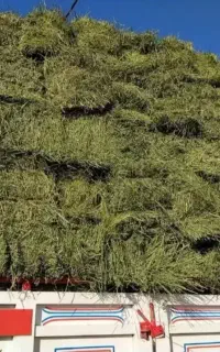 همکاری حمل و نقل