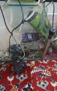 آکواریوم 70در 40