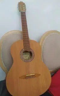 گیتار محیت
