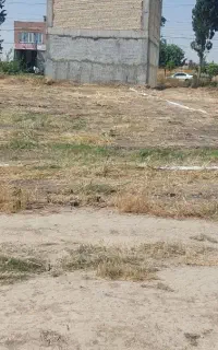 زمین مسکونی کوچه پشت مصلی آزادشهر