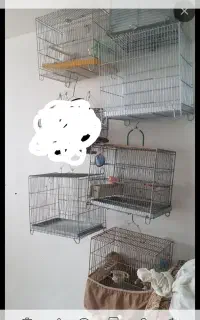 قفس سهره