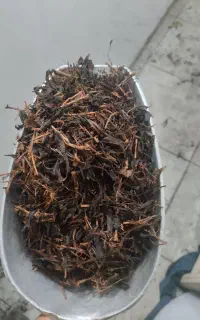 چای ساقه