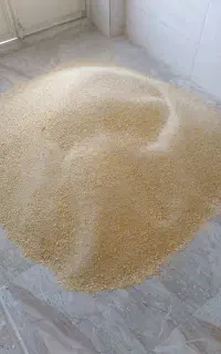 دان وخوراک کامل مرغ
