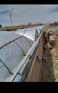 ایزوگام شرق بهترین استاد