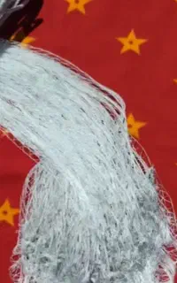 تور ماهیگیری