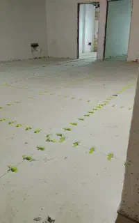 کاشیکاری