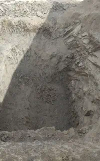 پیشه و مهارت