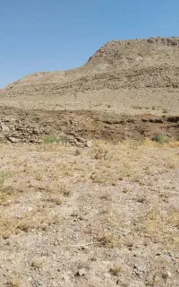 کود حیوانی گوسفند