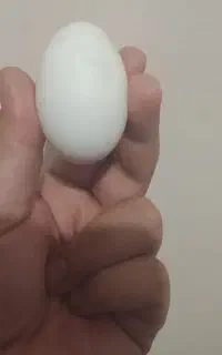 تخم مرغ شکستن و استخاره با تسبیح