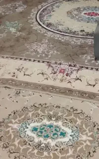 فروش ۲عددفرش