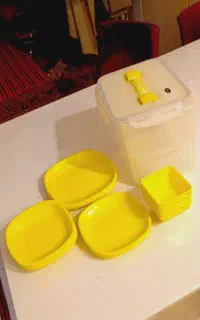 ظروف مسافرتی