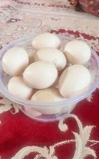 تخم اردک نطفه دار