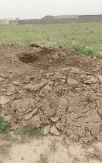 انبارگوسفند