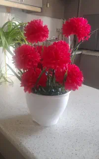 گلدان زیبا وخوشکل