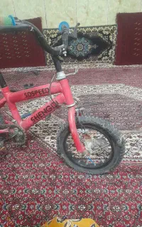 دوچرخه کاملن سالم فقط یکمی خرج داره