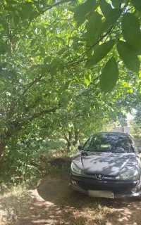 پژو ۲۰۶ اس دی رنگ دلفینی