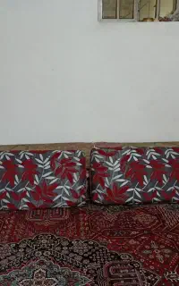 پشتی