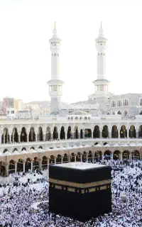 فروش دوعد فیش حج تمتع