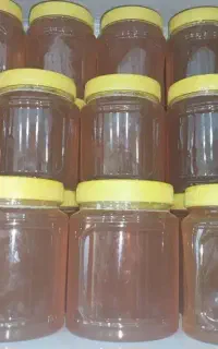 عسل طبیعی ۱۰۰٪طبیعی ارگانیک بی همتا