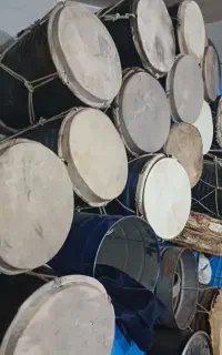 تولیدی دمام وپخش پوست  با کمترین قیمت دربازار