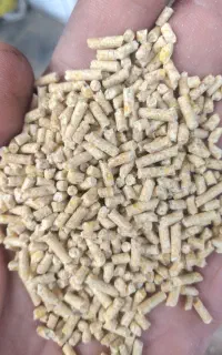 فروش دانه پارس گوشتی