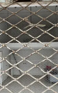 مغازه