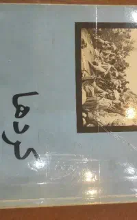 کتاب کردها