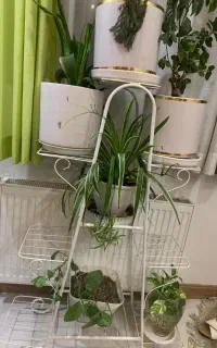 استند گل دهتایی